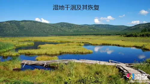 课件7：4.3 湿地干涸及其恢复