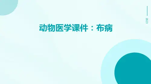 动物医学课件：布病