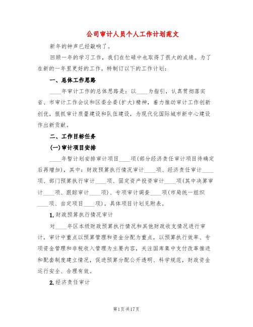 公司审计人员个人工作计划范文(6篇)