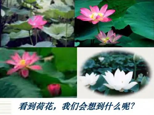 荷塘月色ppt76