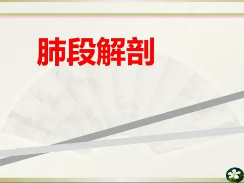 CT正常彩色解剖图谱(肺段解剖)