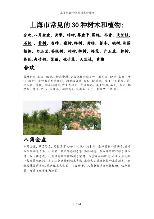 上海市30种常见树木和植物