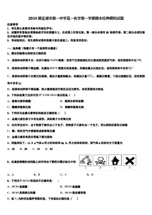 2024届芜湖市第一中学高一化学第一学期期末经典模拟试题含解析