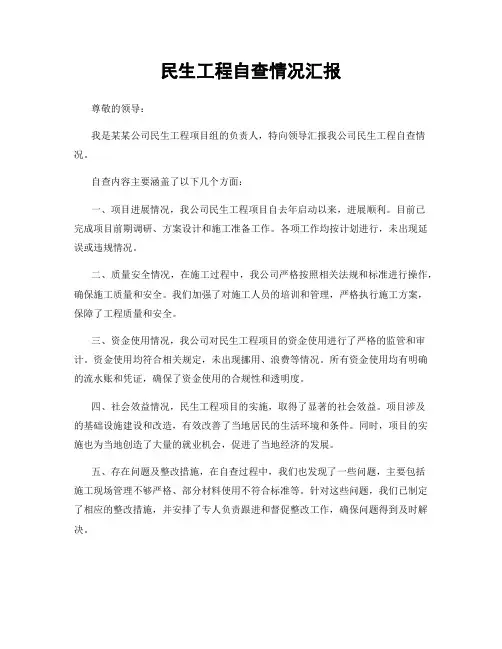 民生工程自查情况汇报
