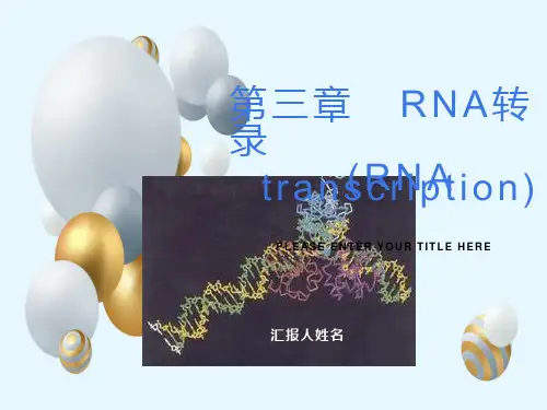 《RNA转录》课件