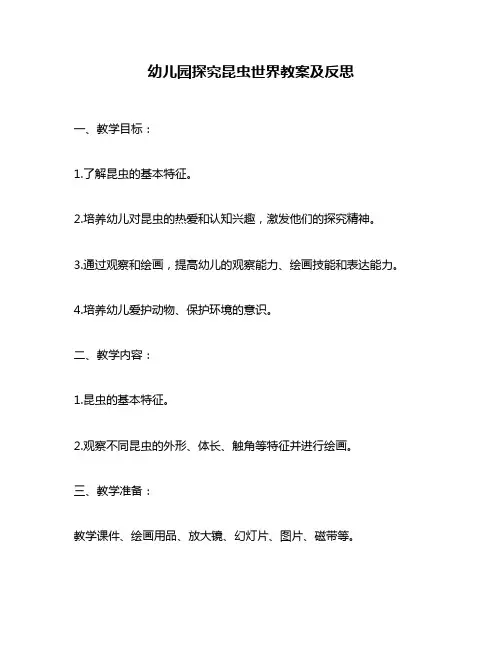 幼儿园探究昆虫世界教案及反思
