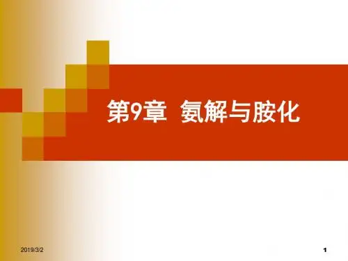 第九章氨基化-PPT文档资料