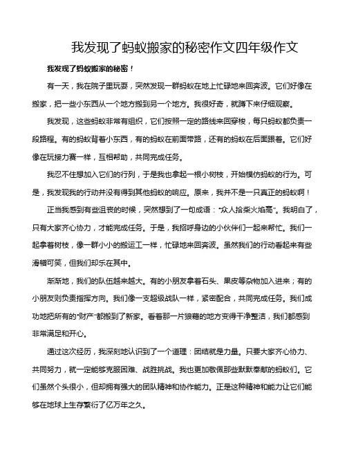 我发现了蚂蚁搬家的秘密作文四年级作文