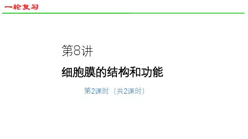 2025届高三生物一轮深度复习课件11：细胞膜的结构与功能(共33张PPT)