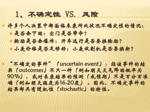 不确定性与跨期决策