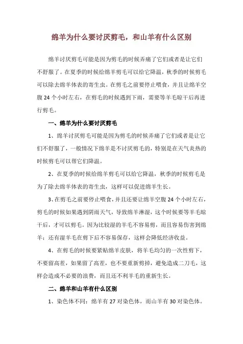 绵羊为什么要讨厌剪毛,和山羊有什么区别