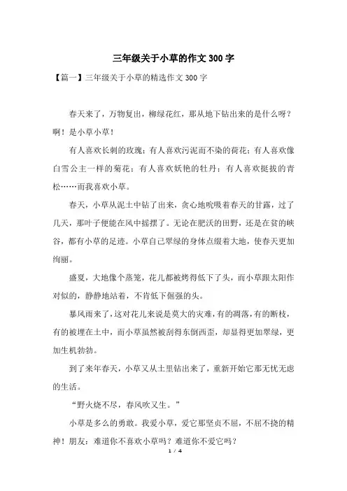 三年级关于小草的作文300字