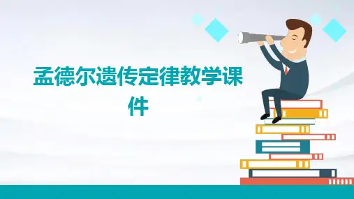 孟德尔遗传定律教学课件