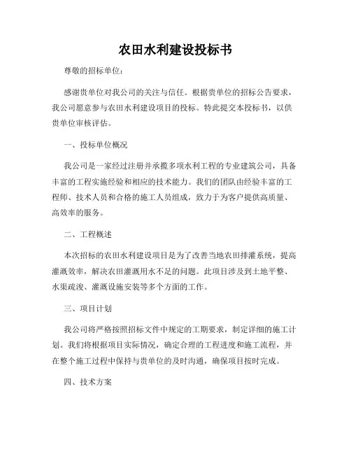农田水利建设投标书