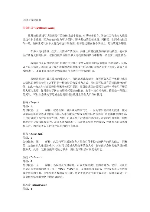 暗黑2  圣骑士