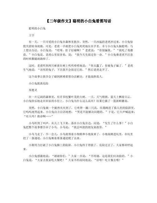 【二年级作文】聪明的小白兔看图写话