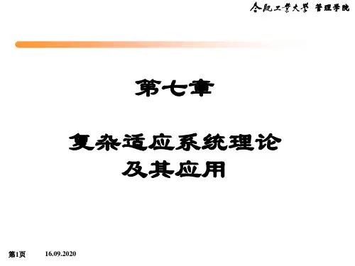 第7章复杂适应系统理论及其应用PPT课件