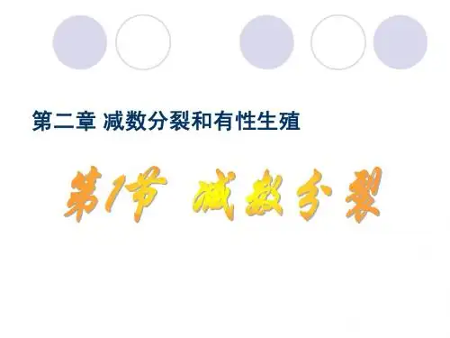 苏教版 高一 必修2  2.1 减数分裂(课件)