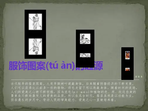 中国古代服饰纹图案纹样讲课讲稿