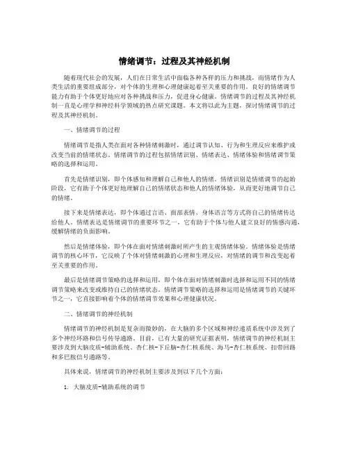 情绪调节：过程及其神经机制