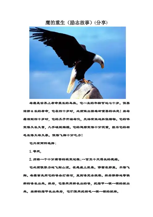 鹰的重生(励志故事)
