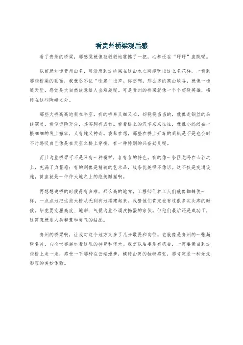 看贵州桥梁观后感