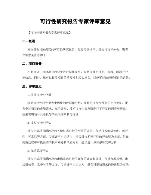 可行性研究报告专家评审意见