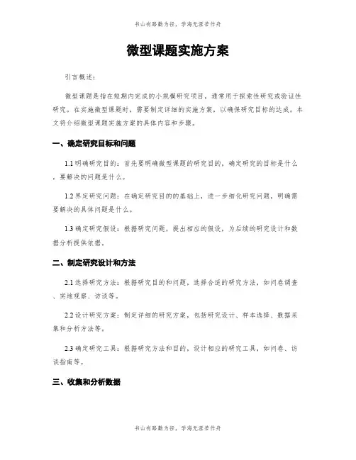 微型课题实施方案