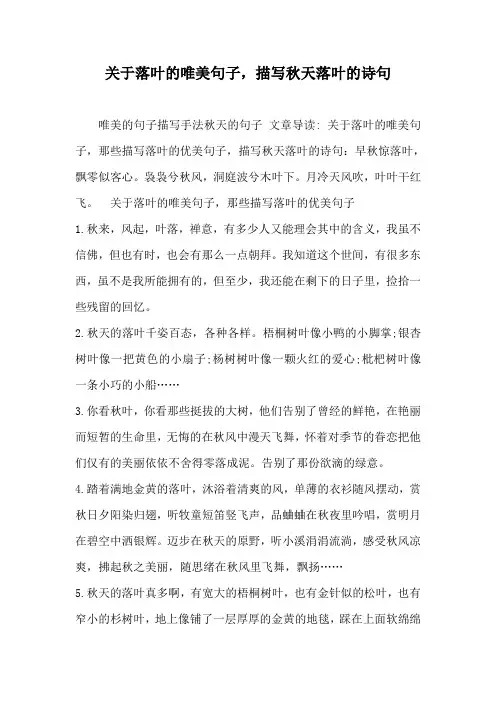 落叶的唯美诗句