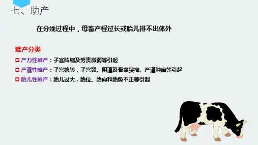 母畜分娩过程助产