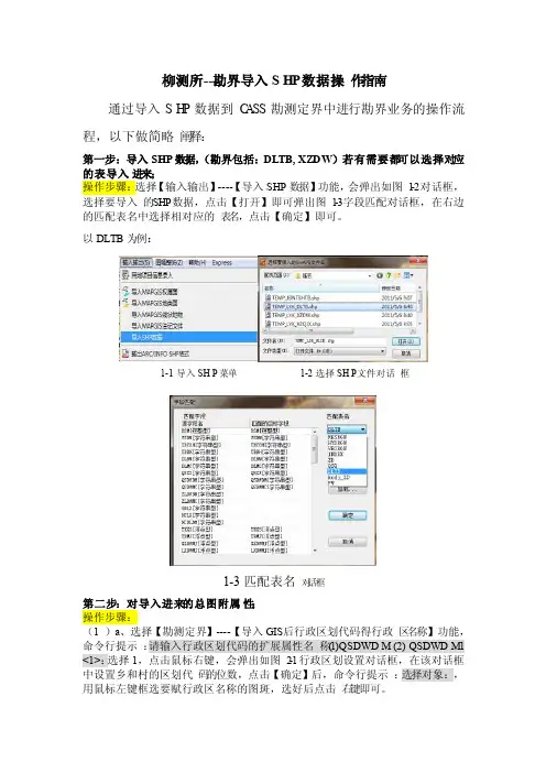 勘界导入SHP数据操作指南