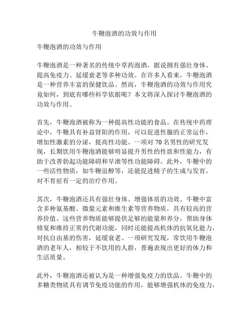 牛鞭泡酒的功效与作用