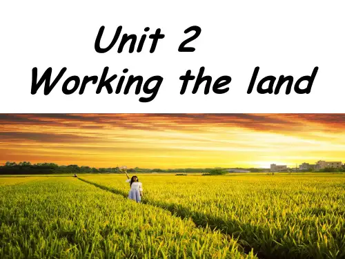 人教版高中英语必修4第二单元 reading 课件 (共22张PPT)