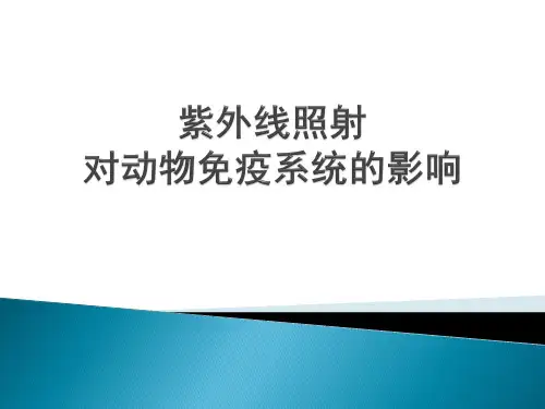 紫外线照射对动物免疫系统的影响