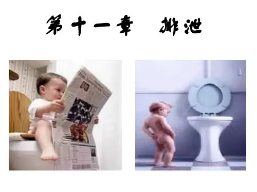《基础护理学》第十一章 排泄(148P)