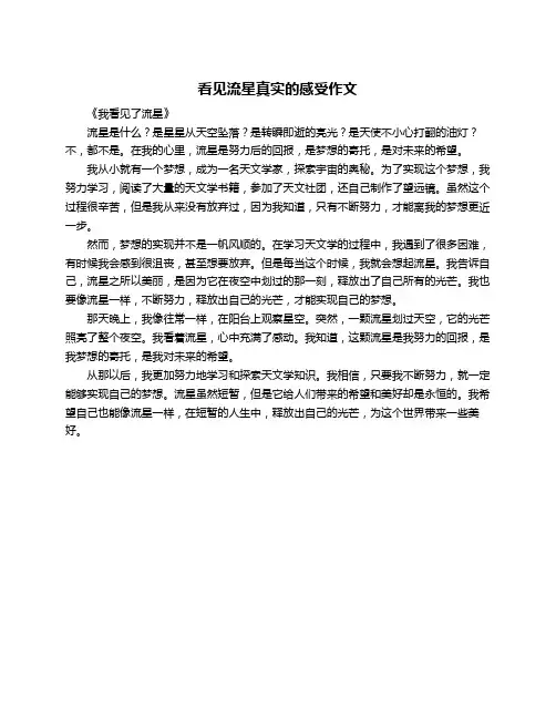 看见流星真实的感受作文