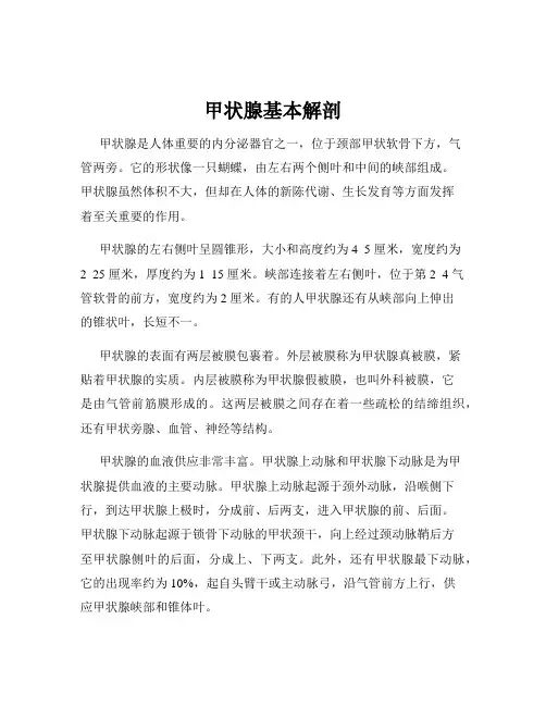 甲状腺基本解剖
