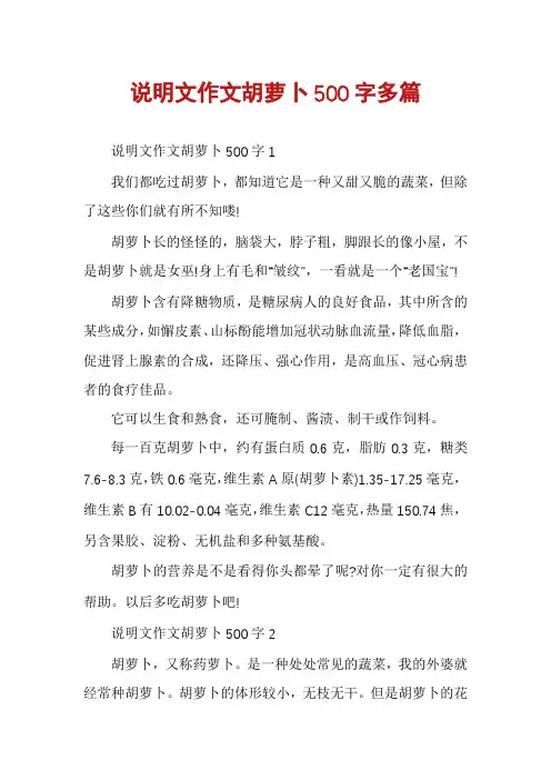 说明文作文胡萝卜500字多篇