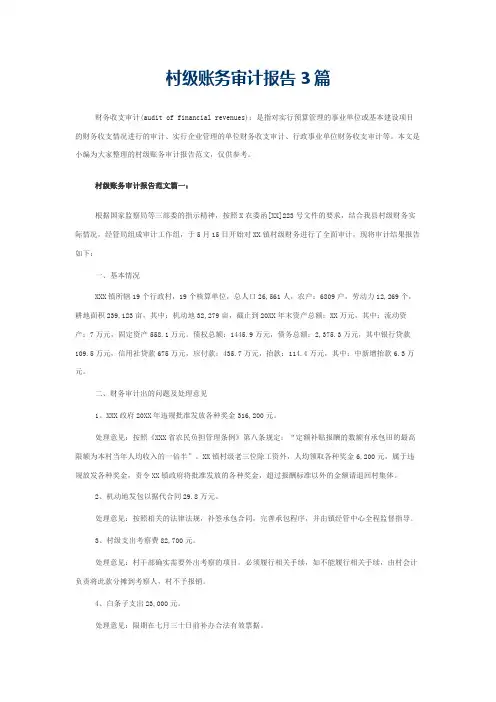 村级账务审计报告3篇