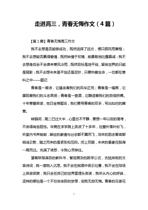 走进高三,青春无悔作文(4篇)