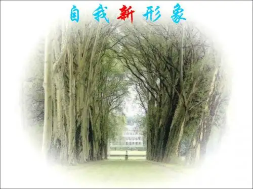 自我新形象