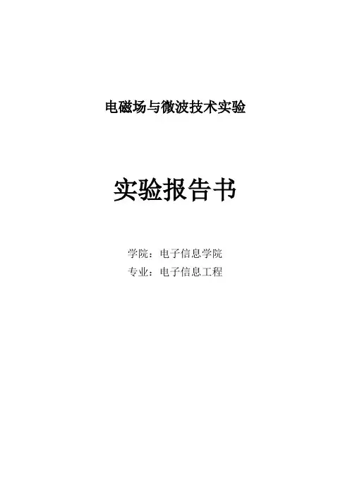 电磁场实验报告