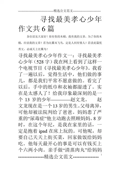 寻找最美孝心少年作文共6篇