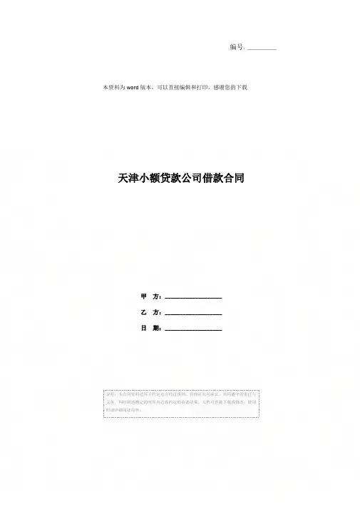 天津小额贷款公司借款合同