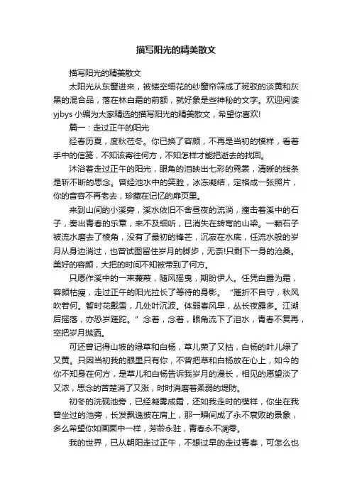 描写阳光的精美散文