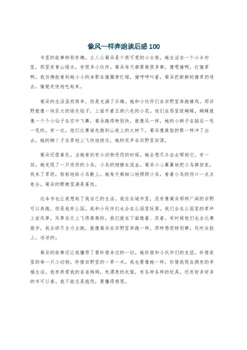 像风一样奔跑读后感100