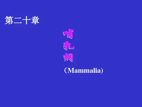 第二十章哺乳纲