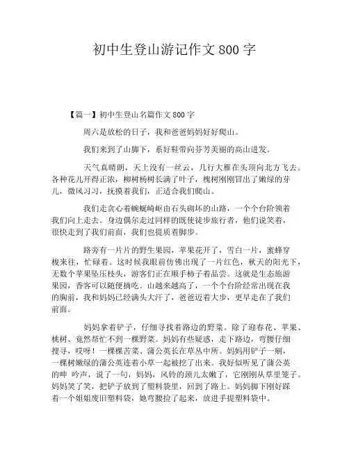 初中生登山游记作文800字