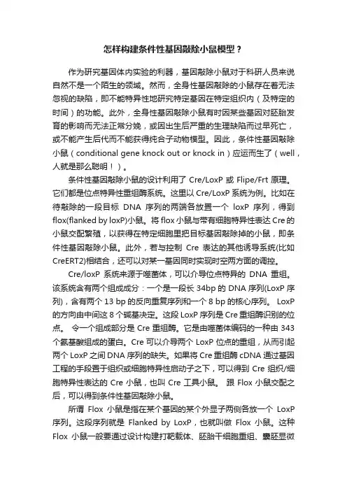 怎样构建条件性基因敲除小鼠模型？