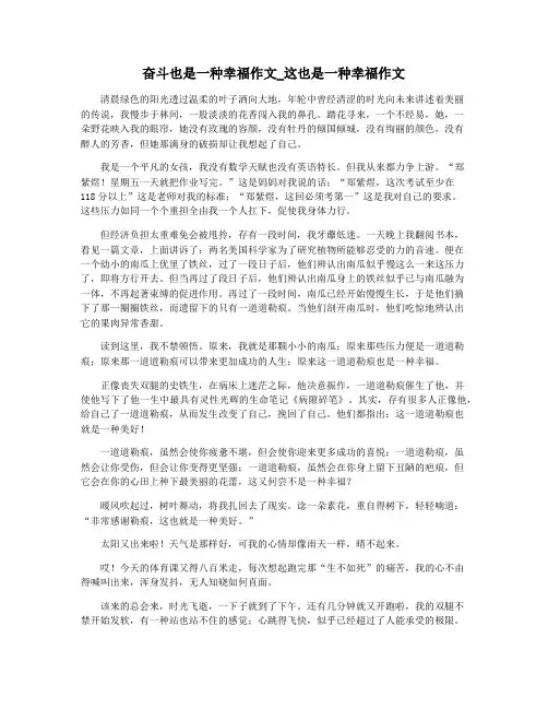 奋斗也是一种幸福作文_这也是一种幸福作文
